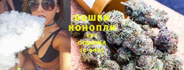 Альфа ПВП Пролетарск