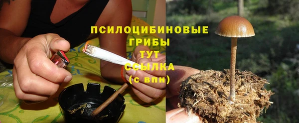 круглые Алзамай