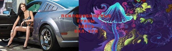 винт Алексеевка